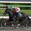 Danon Bourbon | Horses | Kentucky Derby